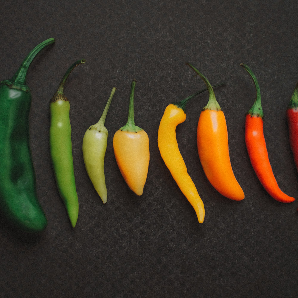 Variety of Peppers - Pikliz Perfected